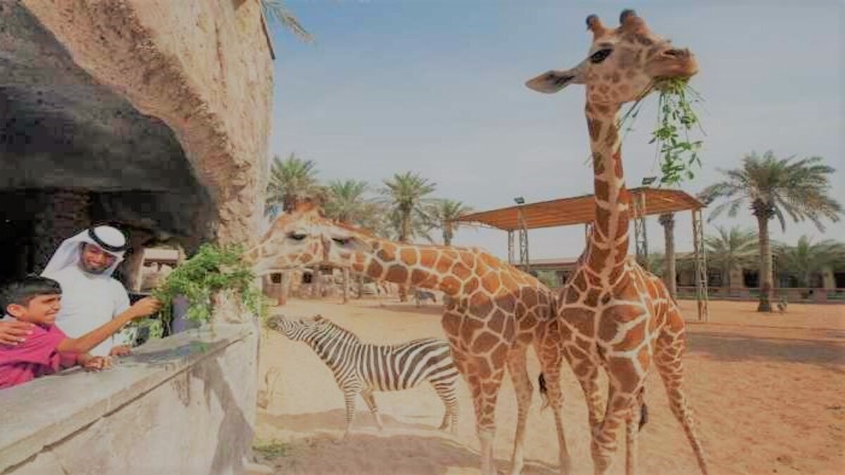 اماكن سياحية في ابوظبي للعائلات