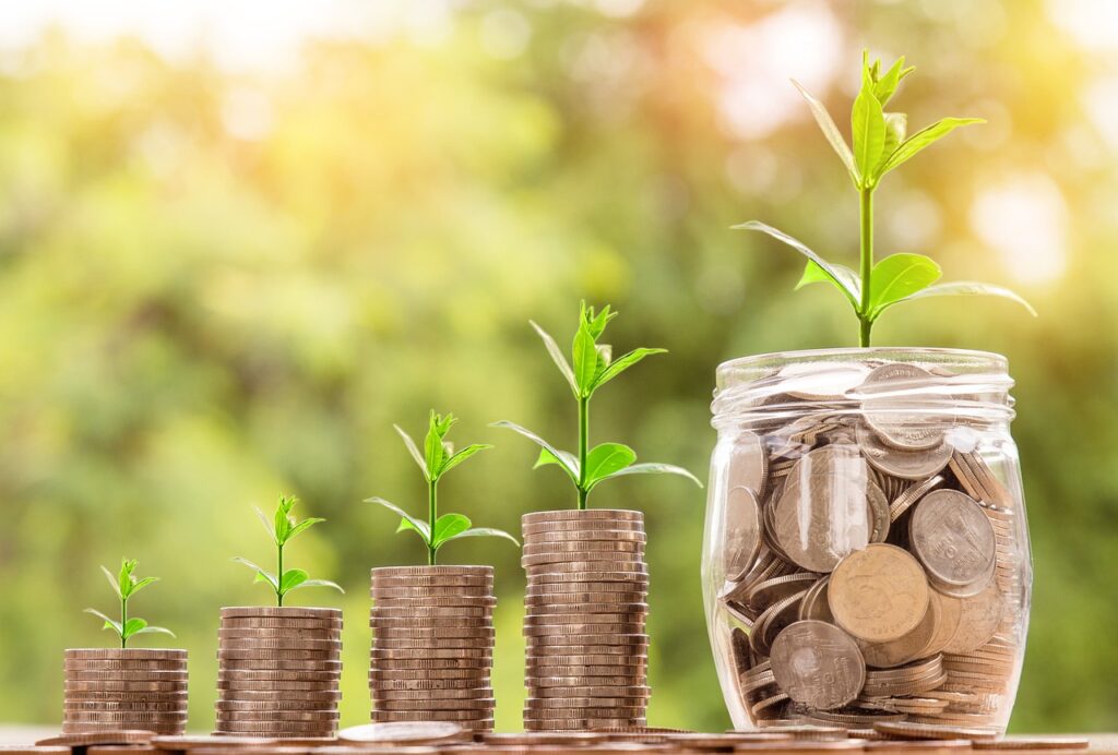 كيف استثمر 1000 درهم إماراتي
